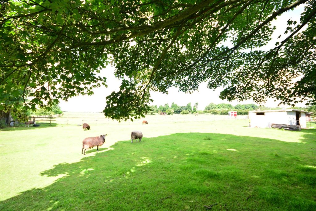 Estate Agents Papplewick - More property needed 3 estate agents hucknall papplewick